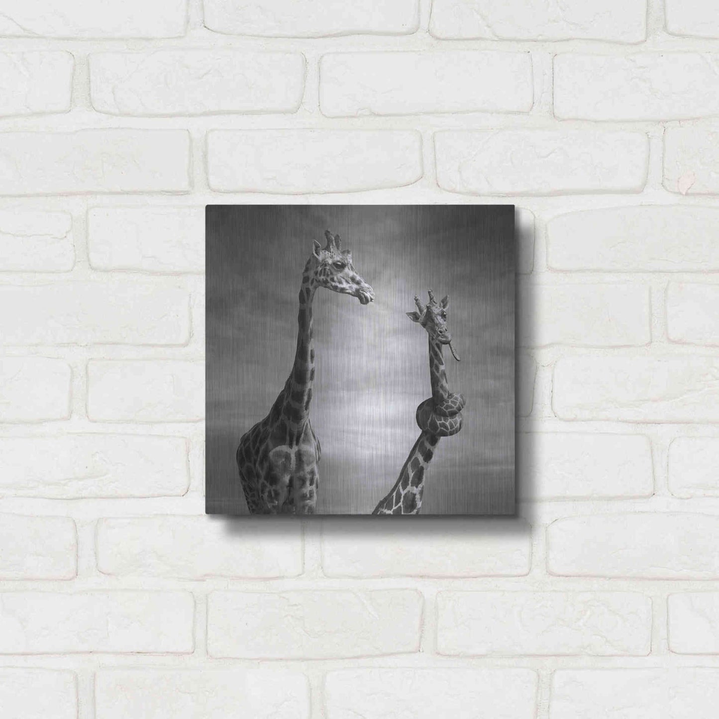 Luxe Metal Art 'Twisted Sister' by Dariusz Klimczak, Metal Wall Art,12x12