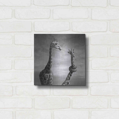 Luxe Metal Art 'Twisted Sister' by Dariusz Klimczak, Metal Wall Art,12x12