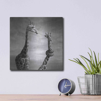 Luxe Metal Art 'Twisted Sister' by Dariusz Klimczak, Metal Wall Art,12x12