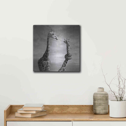 Luxe Metal Art 'Twisted Sister' by Dariusz Klimczak, Metal Wall Art,12x12