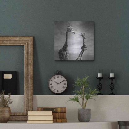 Luxe Metal Art 'Twisted Sister' by Dariusz Klimczak, Metal Wall Art,12x12