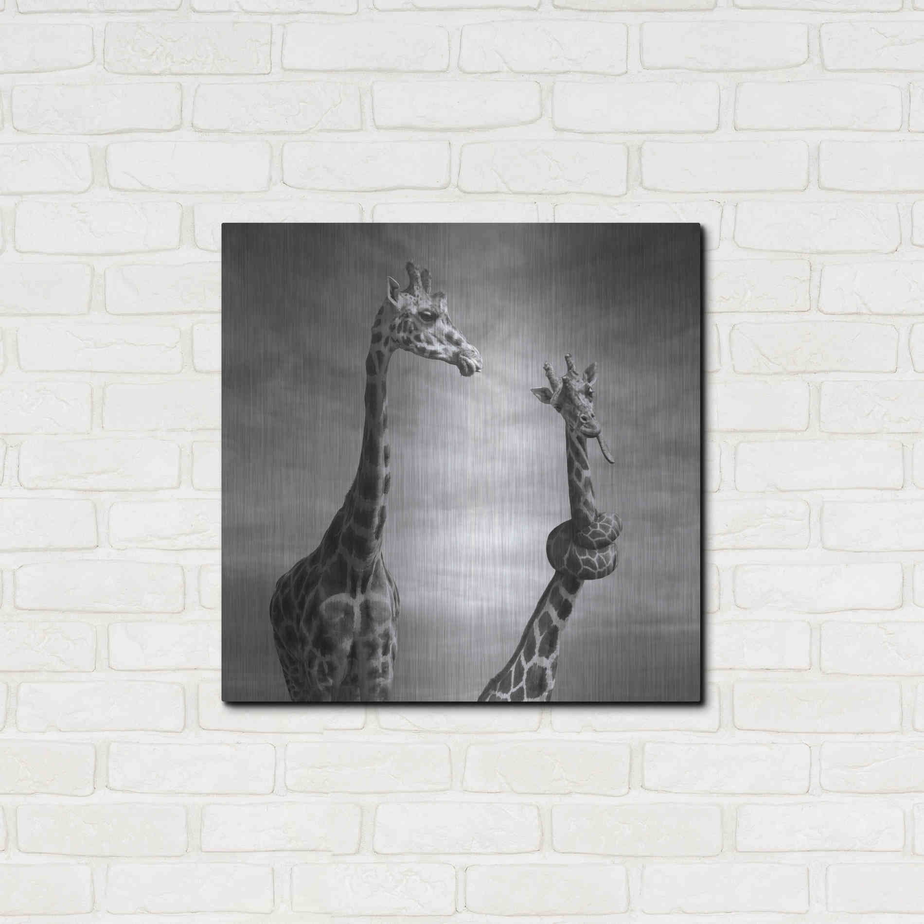 Luxe Metal Art 'Twisted Sister' by Dariusz Klimczak, Metal Wall Art,24x24