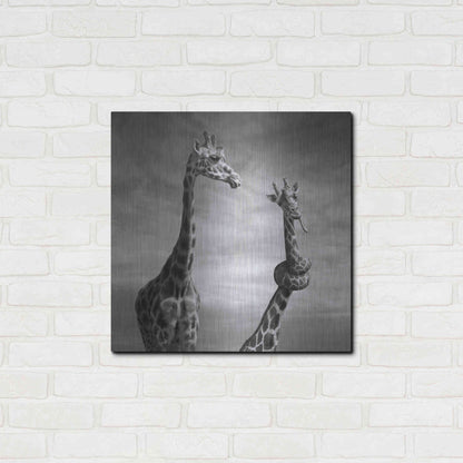 Luxe Metal Art 'Twisted Sister' by Dariusz Klimczak, Metal Wall Art,24x24