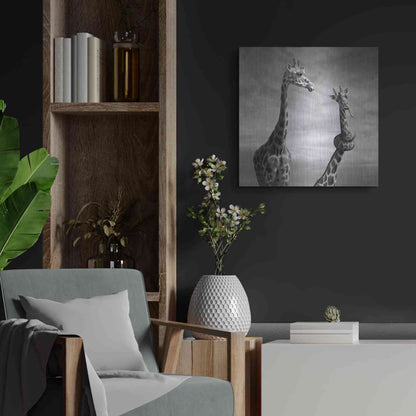 Luxe Metal Art 'Twisted Sister' by Dariusz Klimczak, Metal Wall Art,24x24