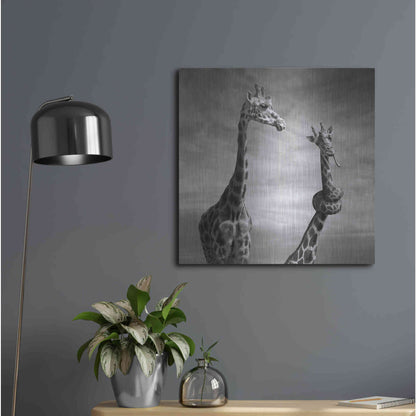 Luxe Metal Art 'Twisted Sister' by Dariusz Klimczak, Metal Wall Art,24x24