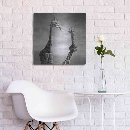 Luxe Metal Art 'Twisted Sister' by Dariusz Klimczak, Metal Wall Art,24x24