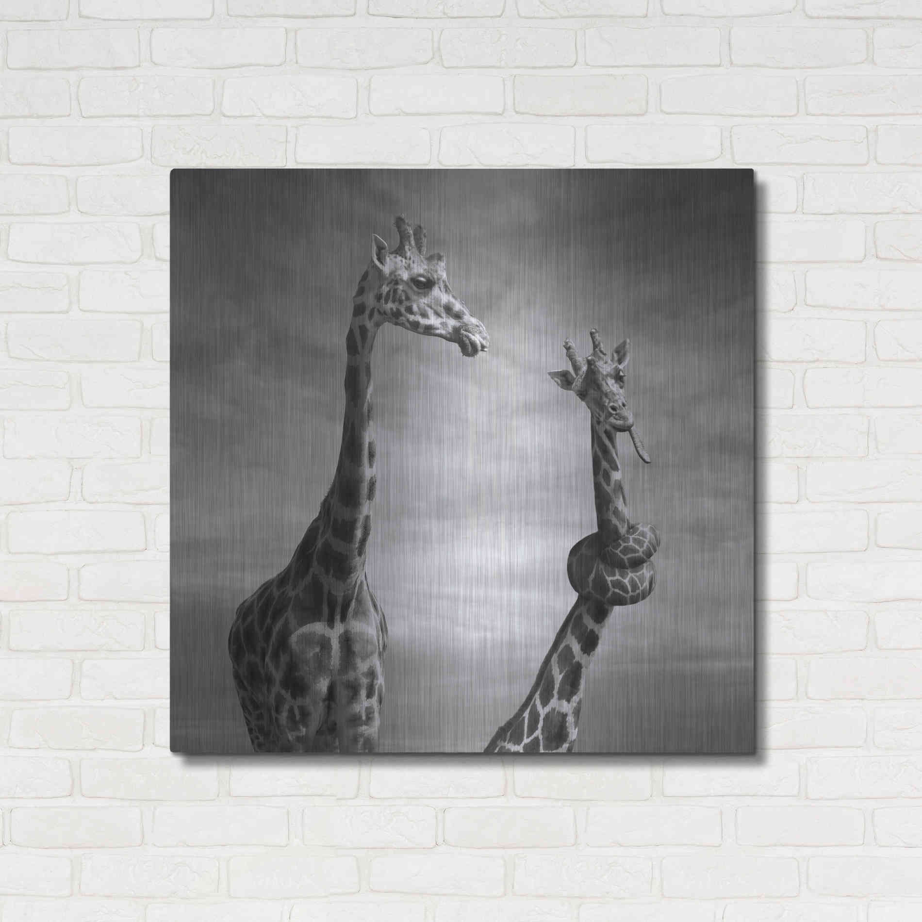 Luxe Metal Art 'Twisted Sister' by Dariusz Klimczak, Metal Wall Art,36x36