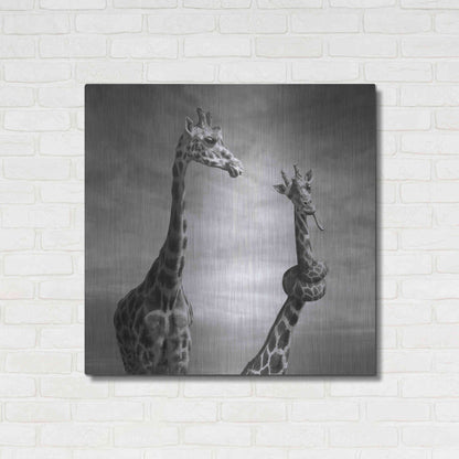 Luxe Metal Art 'Twisted Sister' by Dariusz Klimczak, Metal Wall Art,36x36