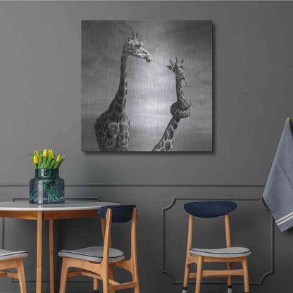 Luxe Metal Art 'Twisted Sister' by Dariusz Klimczak, Metal Wall Art,36x36