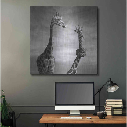 Luxe Metal Art 'Twisted Sister' by Dariusz Klimczak, Metal Wall Art,36x36