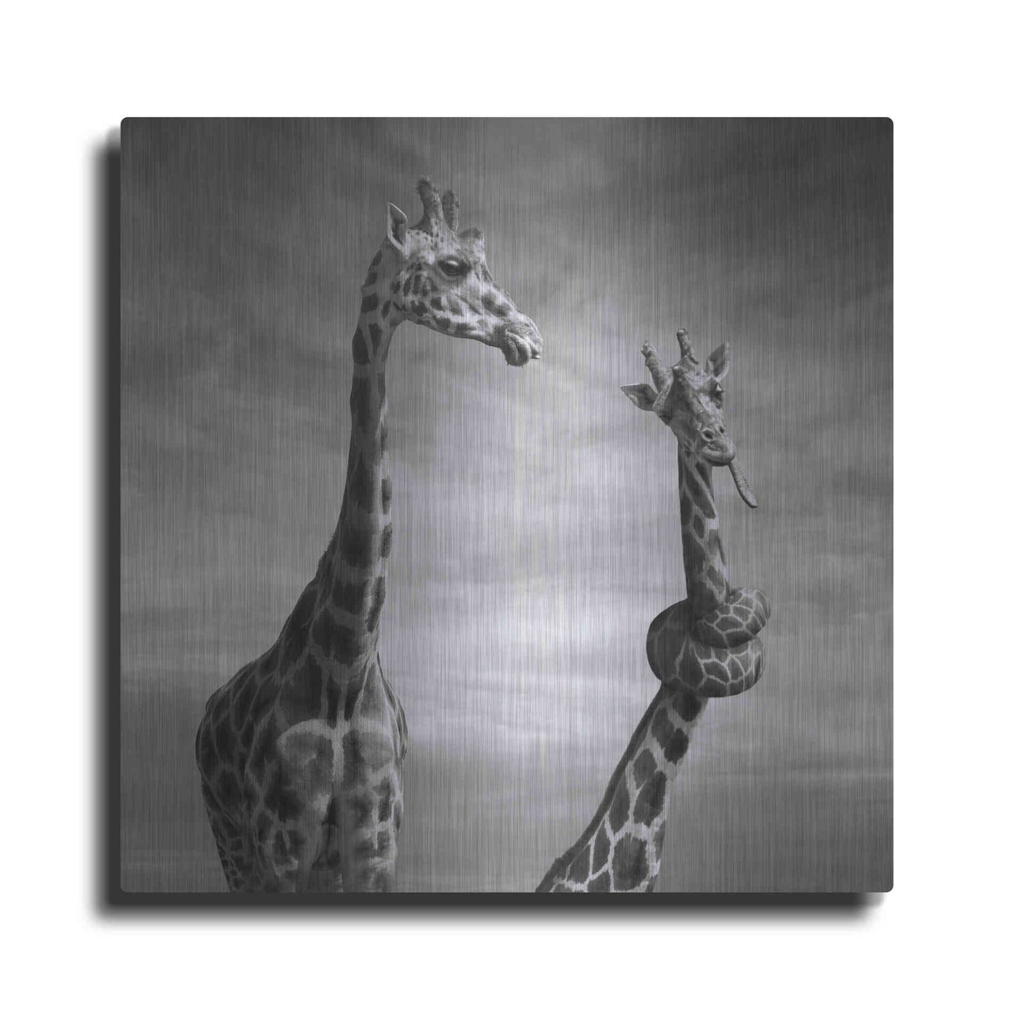 Luxe Metal Art 'Twisted Sister' by Dariusz Klimczak, Metal Wall Art