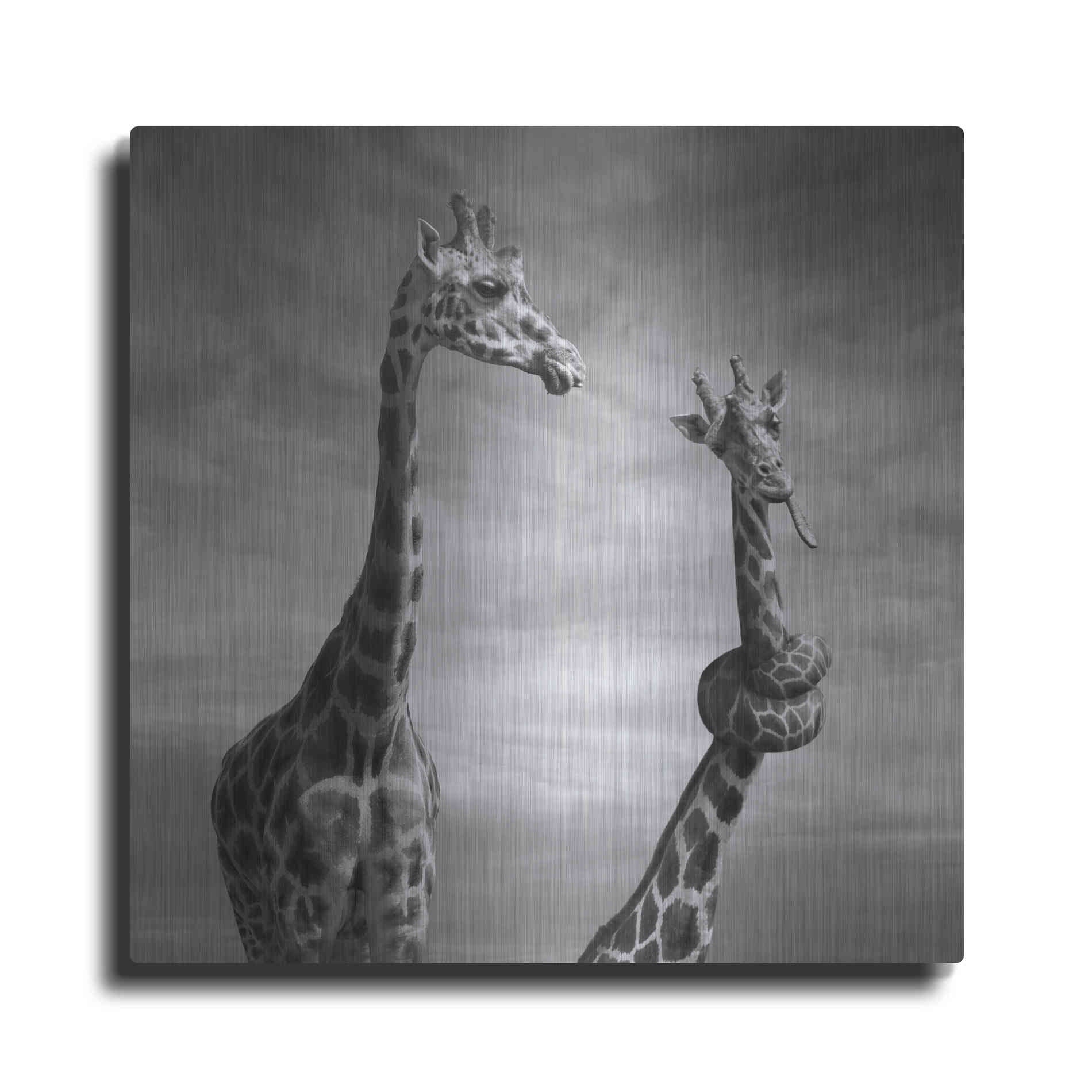 Luxe Metal Art 'Twisted Sister' by Dariusz Klimczak, Metal Wall Art