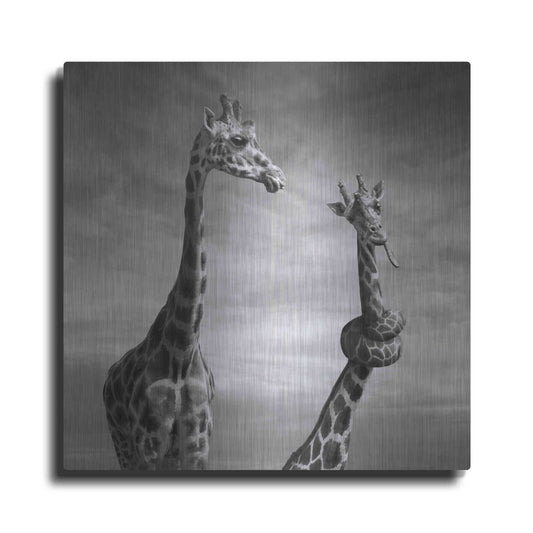 Luxe Metal Art 'Twisted Sister' by Dariusz Klimczak, Metal Wall Art