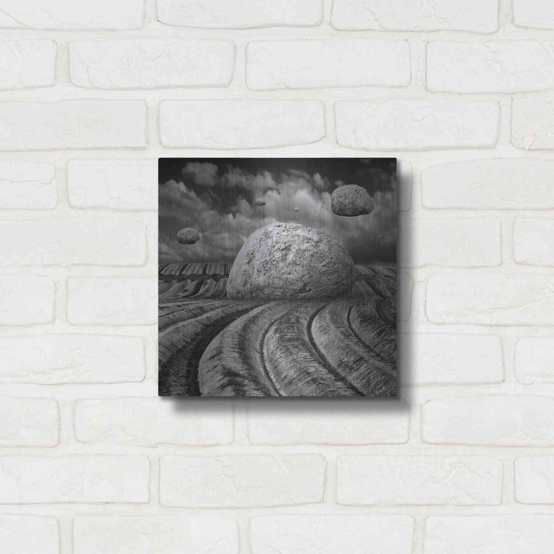 Luxe Metal Art 'Unharvested' by Dariusz Klimczak, Metal Wall Art,12x12