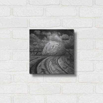 Luxe Metal Art 'Unharvested' by Dariusz Klimczak, Metal Wall Art,12x12