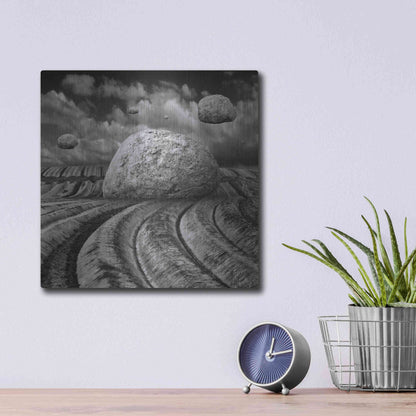 Luxe Metal Art 'Unharvested' by Dariusz Klimczak, Metal Wall Art,12x12