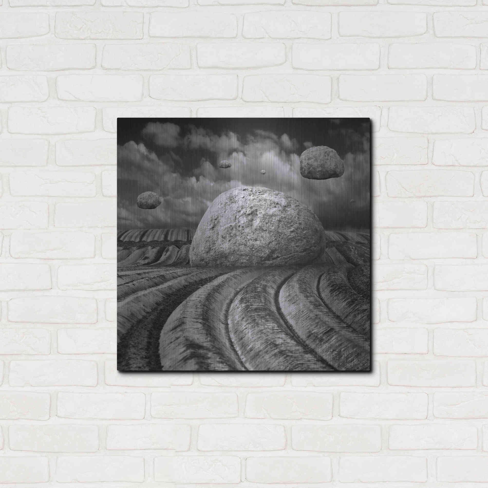 Luxe Metal Art 'Unharvested' by Dariusz Klimczak, Metal Wall Art,24x24