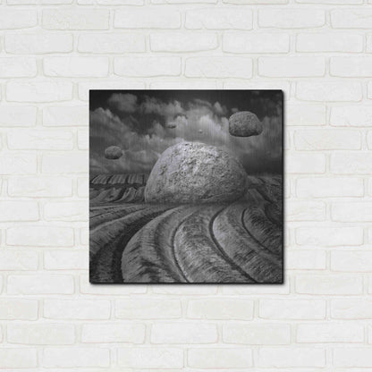Luxe Metal Art 'Unharvested' by Dariusz Klimczak, Metal Wall Art,24x24