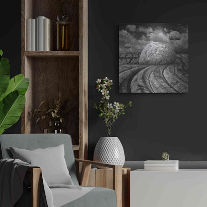 Luxe Metal Art 'Unharvested' by Dariusz Klimczak, Metal Wall Art,24x24