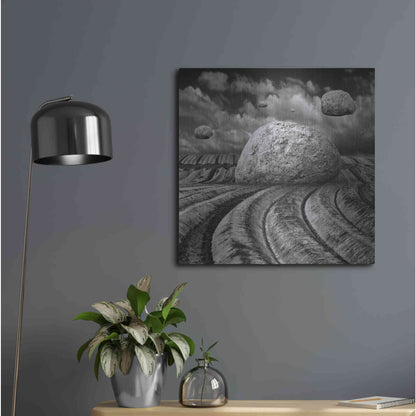 Luxe Metal Art 'Unharvested' by Dariusz Klimczak, Metal Wall Art,24x24
