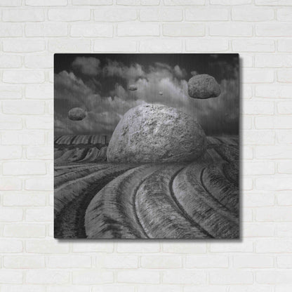 Luxe Metal Art 'Unharvested' by Dariusz Klimczak, Metal Wall Art,36x36
