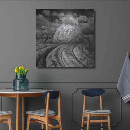 Luxe Metal Art 'Unharvested' by Dariusz Klimczak, Metal Wall Art,36x36
