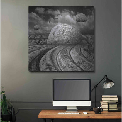 Luxe Metal Art 'Unharvested' by Dariusz Klimczak, Metal Wall Art,36x36