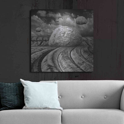 Luxe Metal Art 'Unharvested' by Dariusz Klimczak, Metal Wall Art,36x36