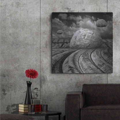 Luxe Metal Art 'Unharvested' by Dariusz Klimczak, Metal Wall Art,36x36