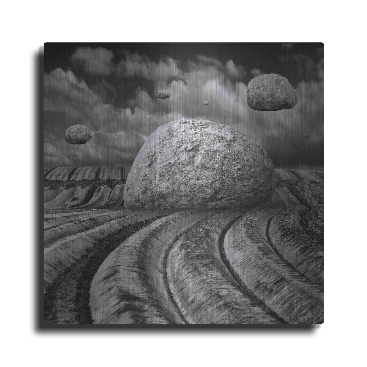 Luxe Metal Art 'Unharvested' by Dariusz Klimczak, Metal Wall Art