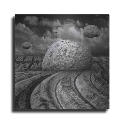 Luxe Metal Art 'Unharvested' by Dariusz Klimczak, Metal Wall Art