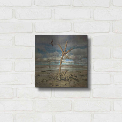 Luxe Metal Art 'Wetlands' by Dariusz Klimczak, Metal Wall Art,12x12