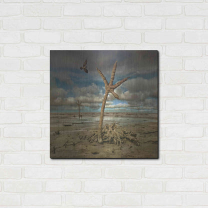 Luxe Metal Art 'Wetlands' by Dariusz Klimczak, Metal Wall Art,24x24