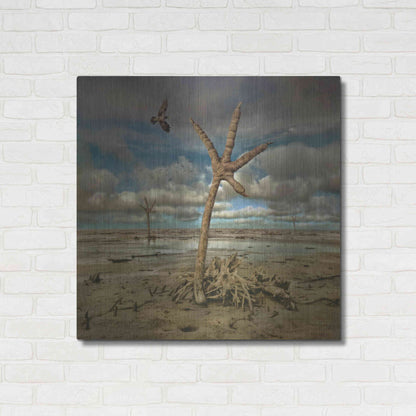Luxe Metal Art 'Wetlands' by Dariusz Klimczak, Metal Wall Art,36x36