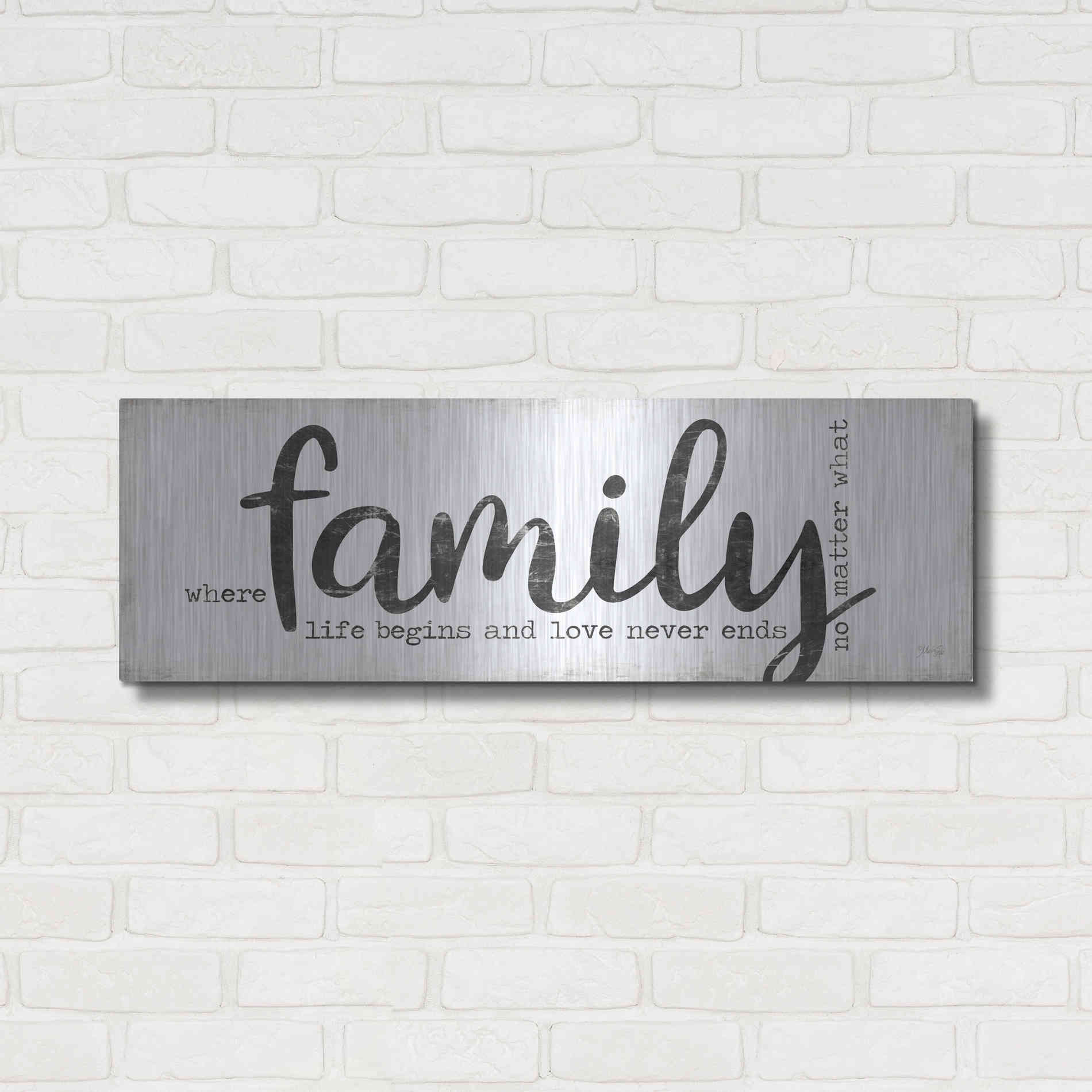 Luxe Metal Art 'Family Where Life Begins' by Marla Rae, Metal Wall Art,36x12