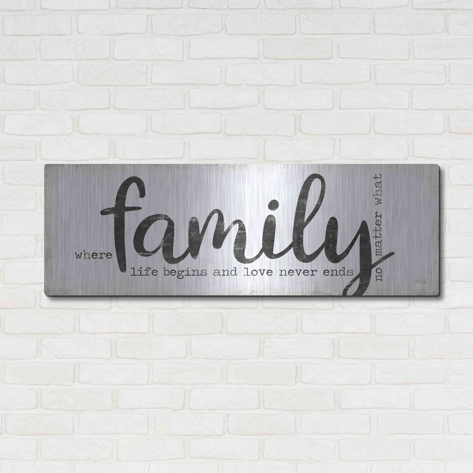 Luxe Metal Art 'Family Where Life Begins' by Marla Rae, Metal Wall Art,48x16
