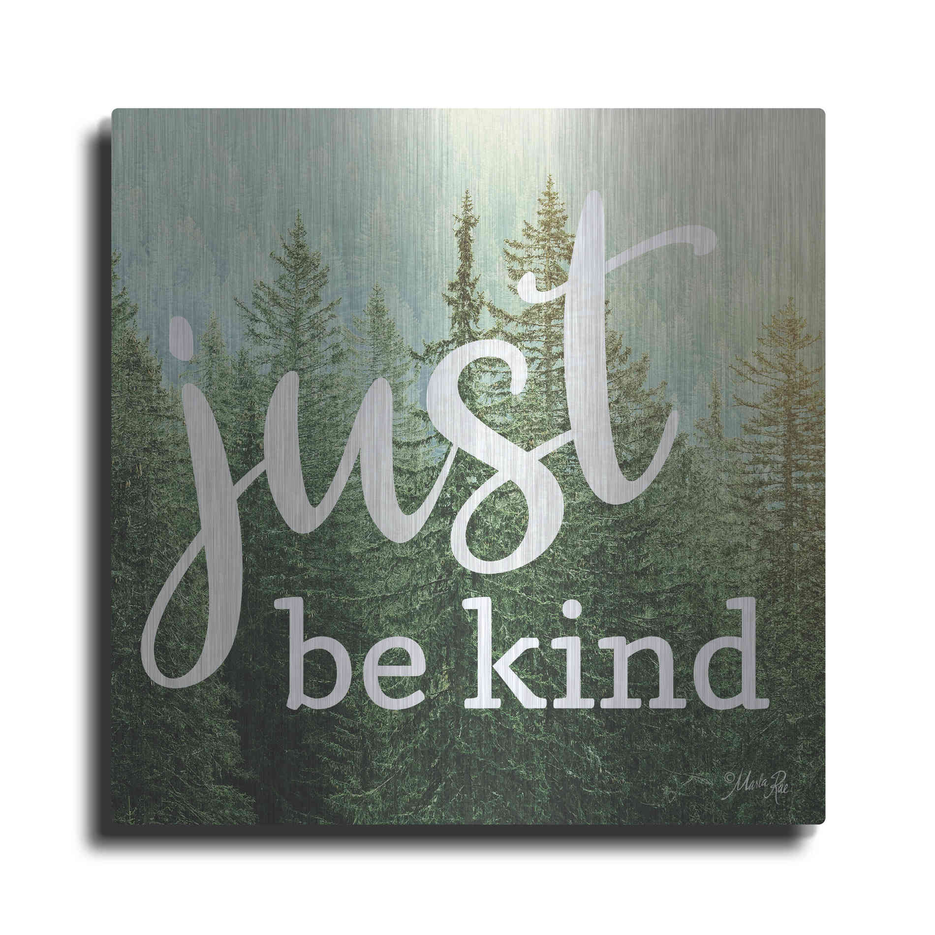 Luxe Metal Art 'Just Be Kind' by Marla Rae, Metal Wall Art