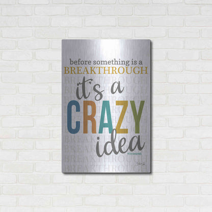 Luxe Metal Art 'Crazy Idea' by Marla Rae, Metal Wall Art,24x36