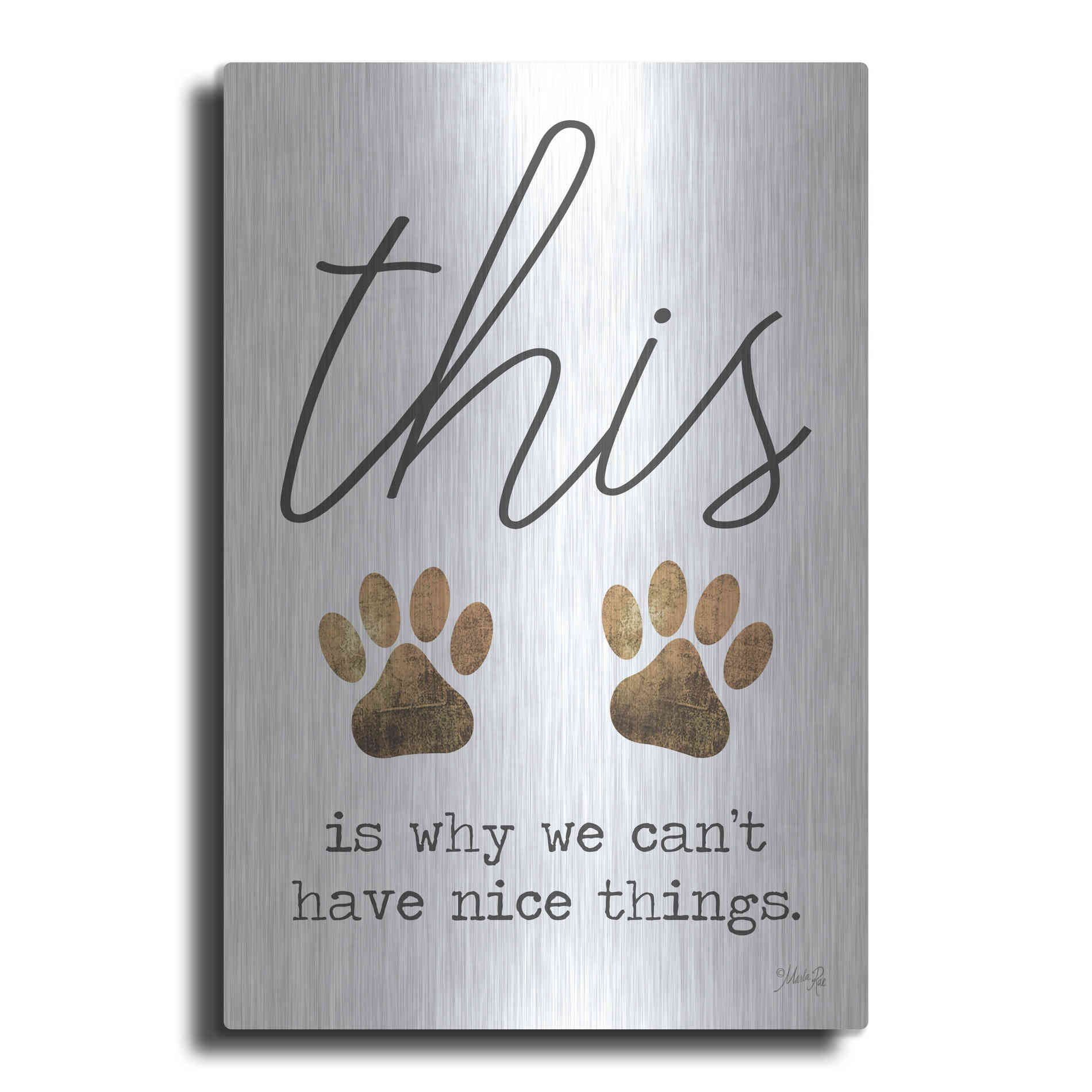 Luxe Metal Art 'Can't Have Nice Things' by Marla Rae, Metal Wall Art