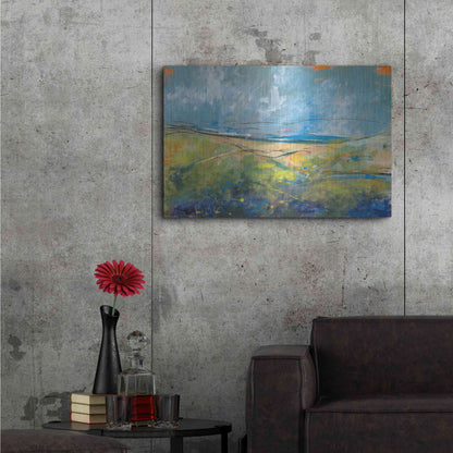 Luxe Metal Art 'Early Spring Days' by Jan Weiss, Metal Wall Art,36x24