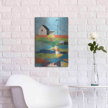 Luxe Metal Art 'Western Edge' by Jan Weiss, Metal Wall Art,16x24