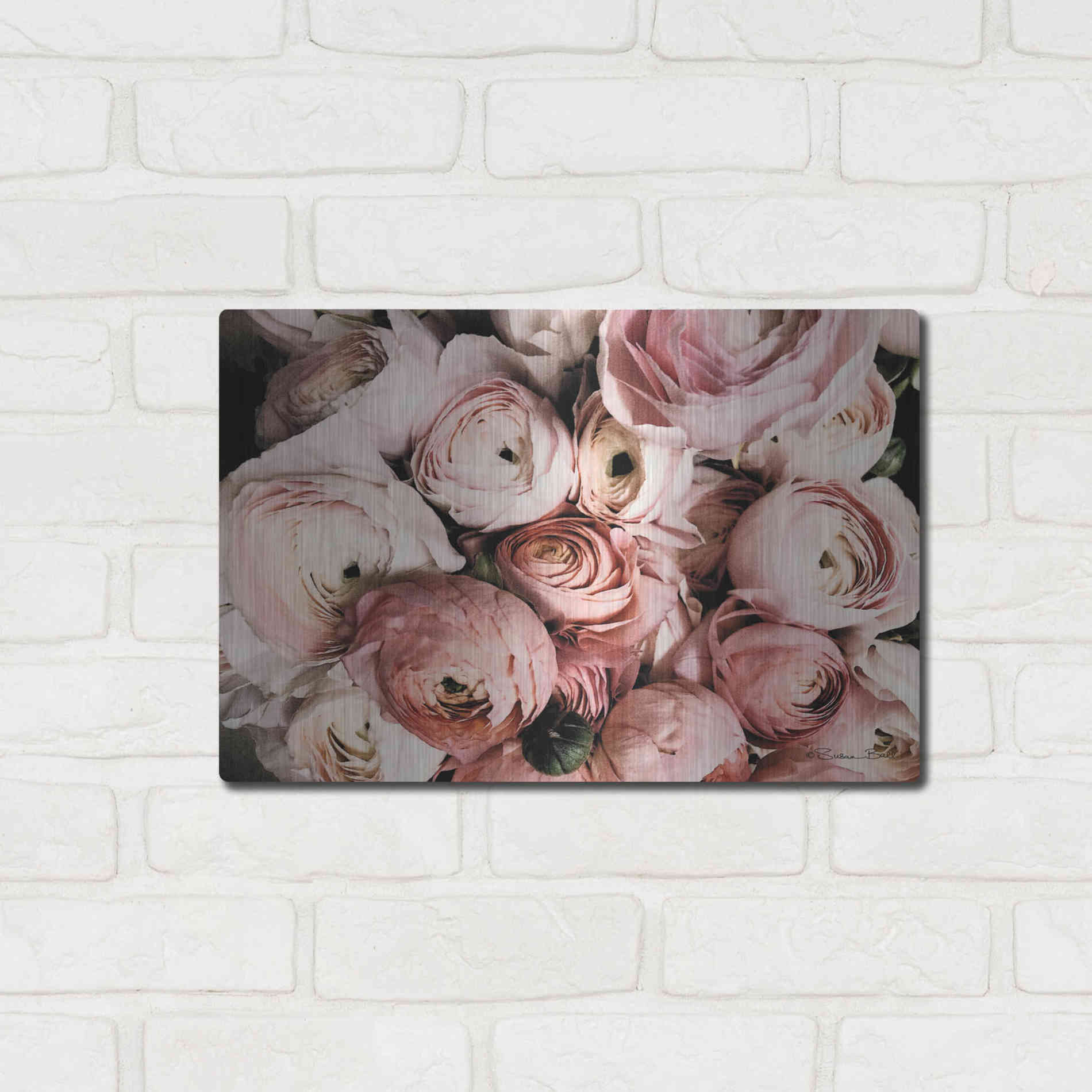 Luxe Metal Art 'Coral Ranunculus' by Susan Ball, Metal Wall Art,16x12