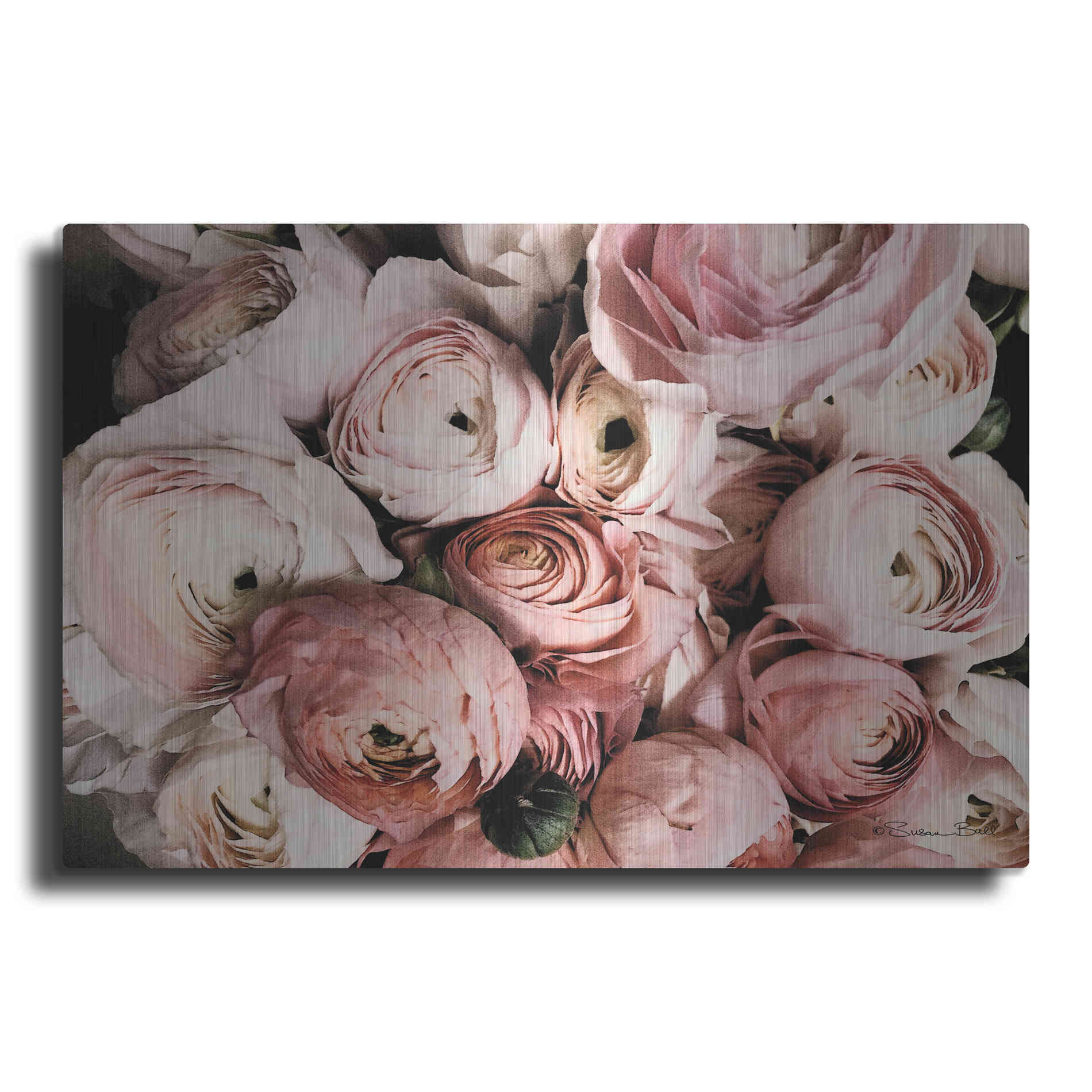 Luxe Metal Art 'Coral Ranunculus' by Susan Ball, Metal Wall Art