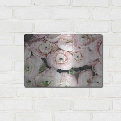 Luxe Metal Art 'Soft Pink Ranunculus' by Susan Ball, Metal Wall Art,16x12