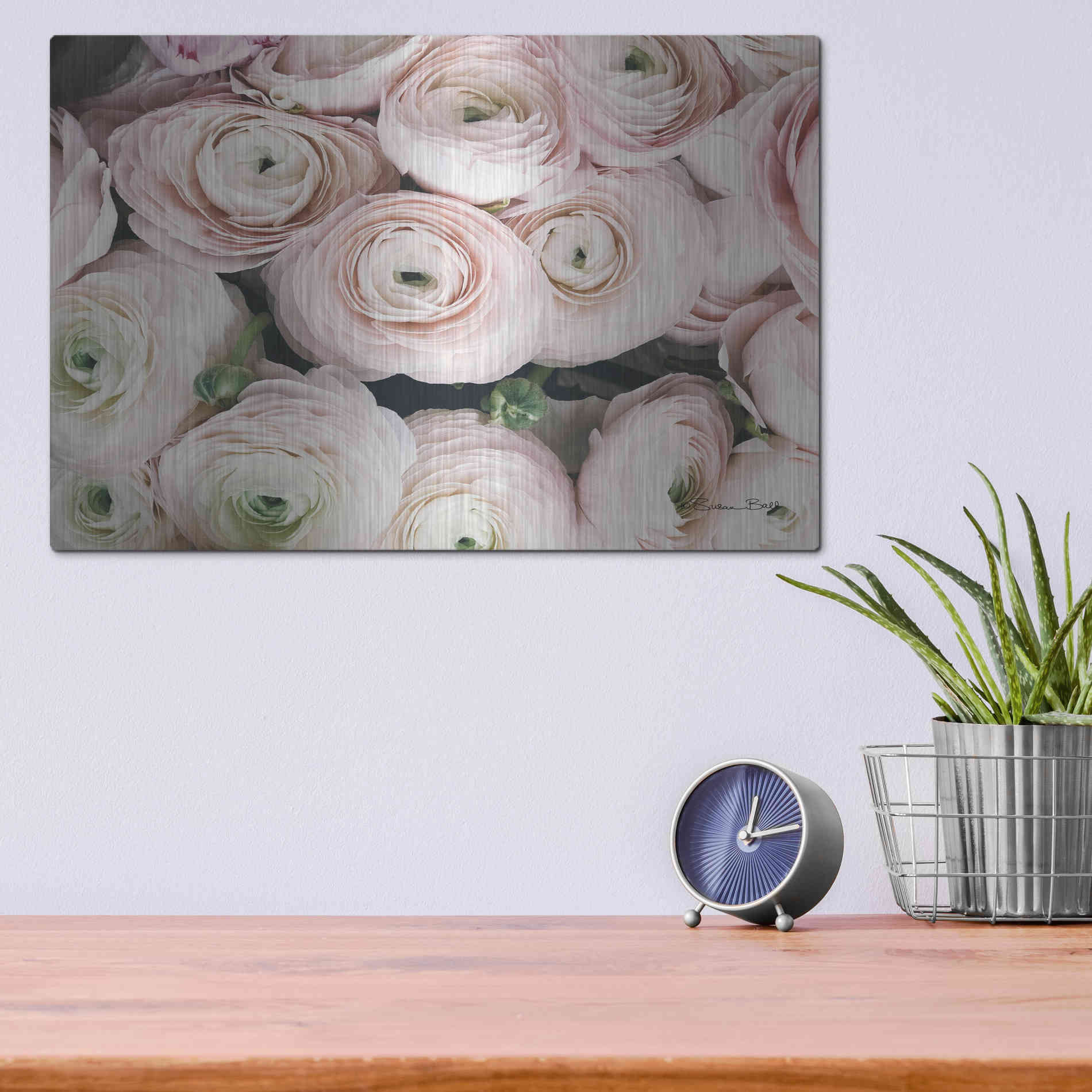 Luxe Metal Art 'Soft Pink Ranunculus' by Susan Ball, Metal Wall Art,16x12