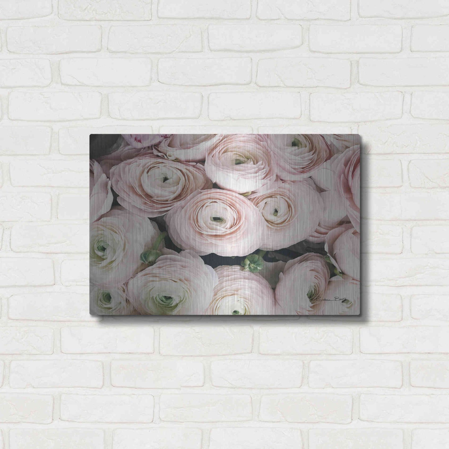 Luxe Metal Art 'Soft Pink Ranunculus' by Susan Ball, Metal Wall Art,24x16