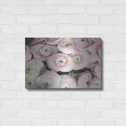 Luxe Metal Art 'Soft Pink Ranunculus' by Susan Ball, Metal Wall Art,24x16