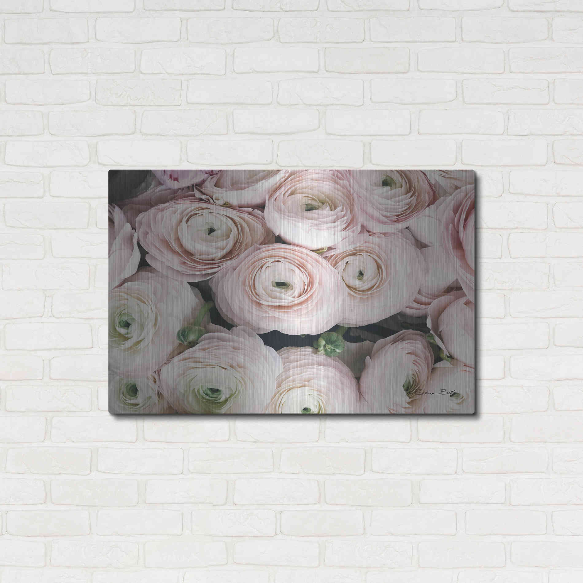 Luxe Metal Art 'Soft Pink Ranunculus' by Susan Ball, Metal Wall Art,36x24