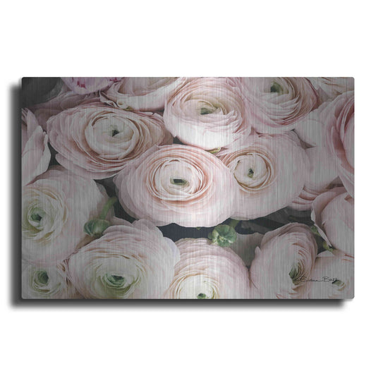 Luxe Metal Art 'Soft Pink Ranunculus' by Susan Ball, Metal Wall Art