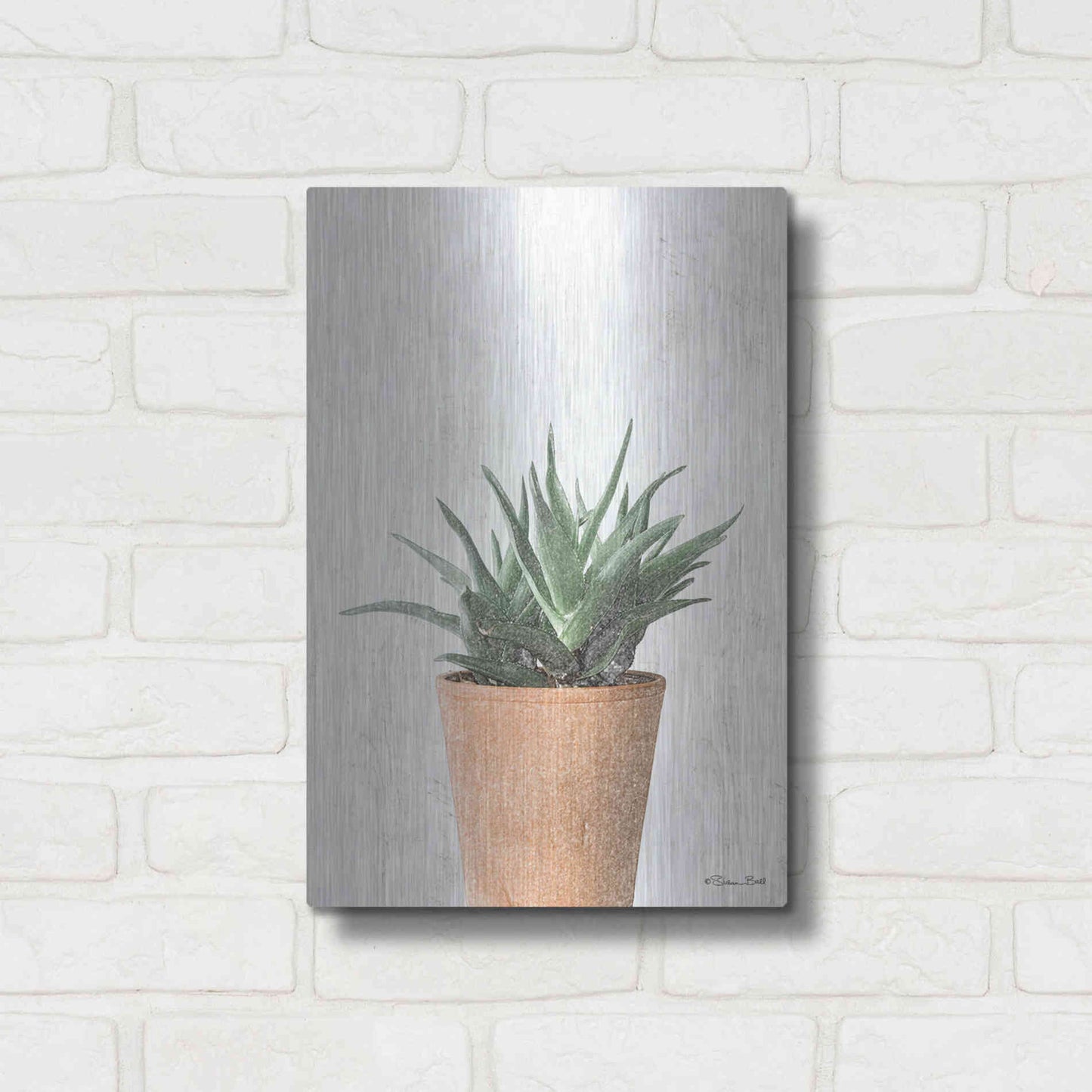 Luxe Metal Art 'Succulents I' by Susan Ball, Metal Wall Art,12x16
